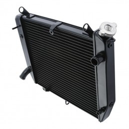 Radiateur d'Eau YAMAHA YZF R1 YZF-R1 2000-2001